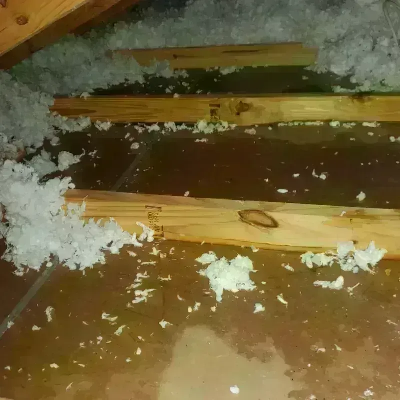 Attic Water Damage in Audubon, IA