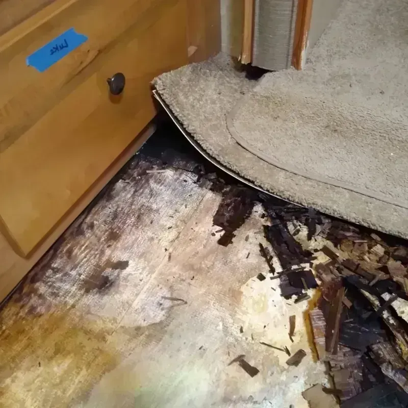 Wood Floor Water Damage in Audubon, IA